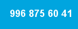 996 875 60 41